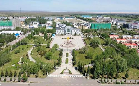 新疆北屯市政府安檢項目